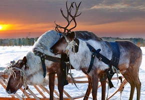 Lapland