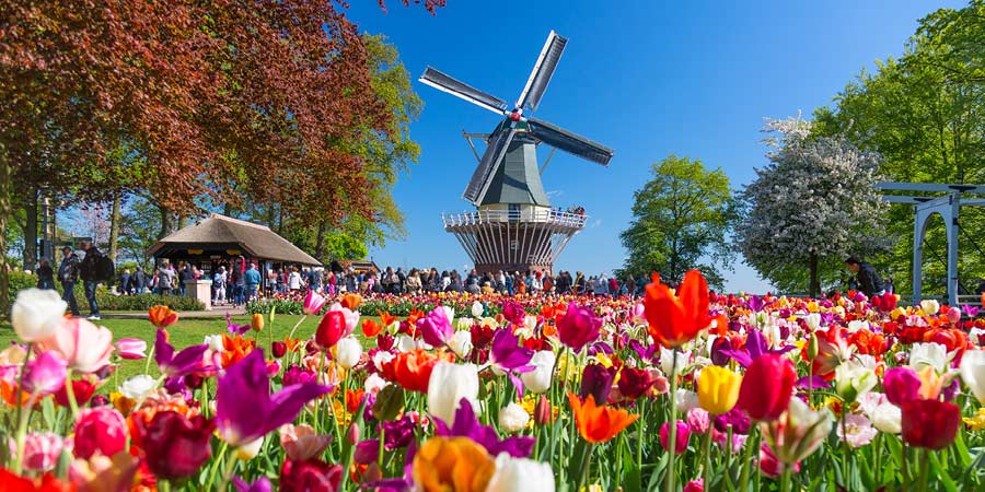 Keukenhof Gardens